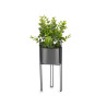 PIANTA FOGLIA EUCALIPTO BASE METALLO GRIGIO