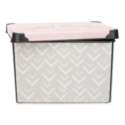 CAJA PLASTICO 22L VIBES CON ASA