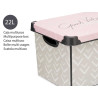 CAJA PLASTICO 22L VIBES CON ASA