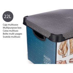 22L VINTAGE PLASTIC BOX WITH HANDLE