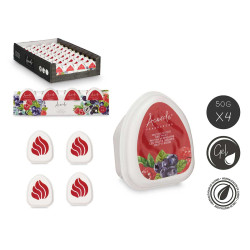 SET 4 MINI AIR-FRESHENERS RED FRUITS