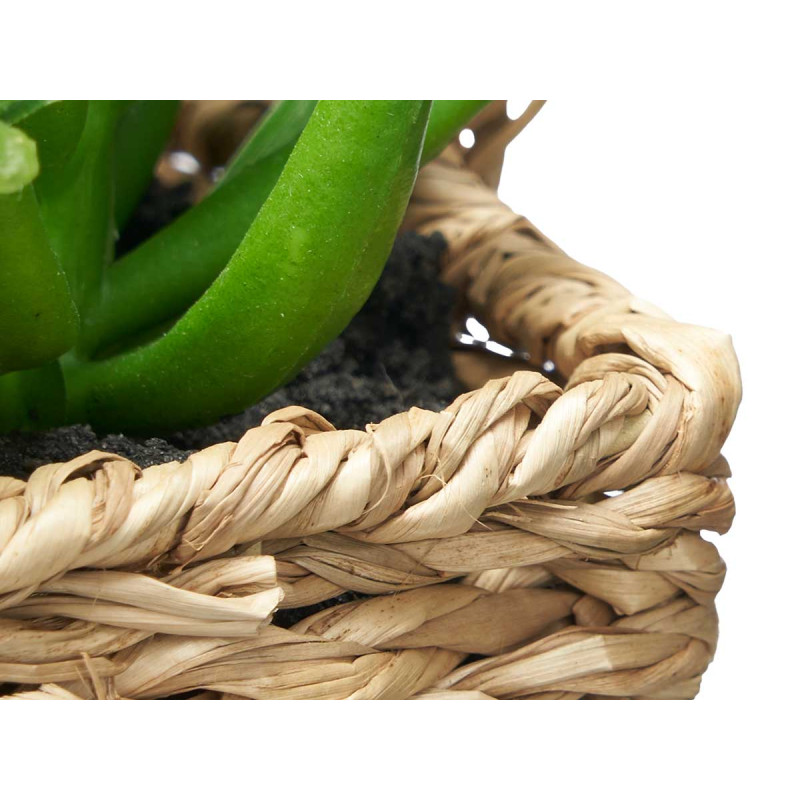 POT HANDLE ASSORTED 2