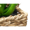POT HANDLE ASSORTED 2