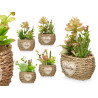 VASO OVAL SORT 4