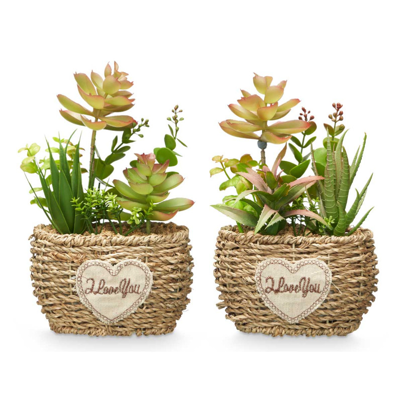 OVAL POT ASSORTED 4