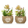OVAL POT ASSORTED 4