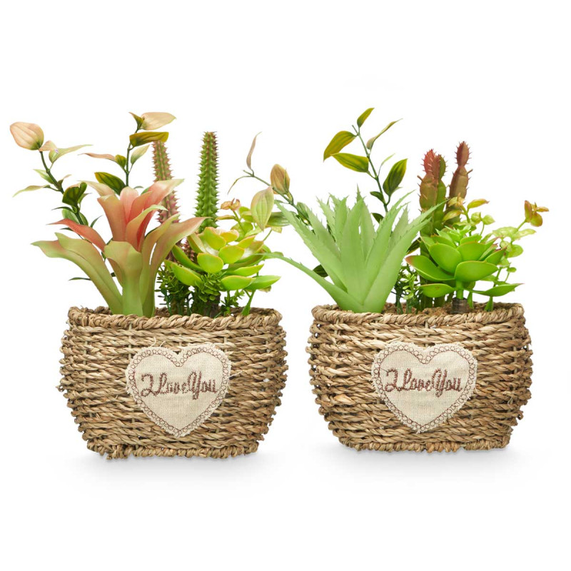 OVAL POT ASSORTED 4