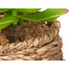 OVAL POT ASSORTED 4