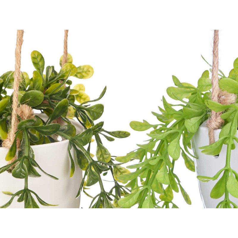 HANGING POT ASSORTED 2