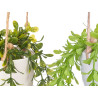 HANGING POT ASSORTED 2