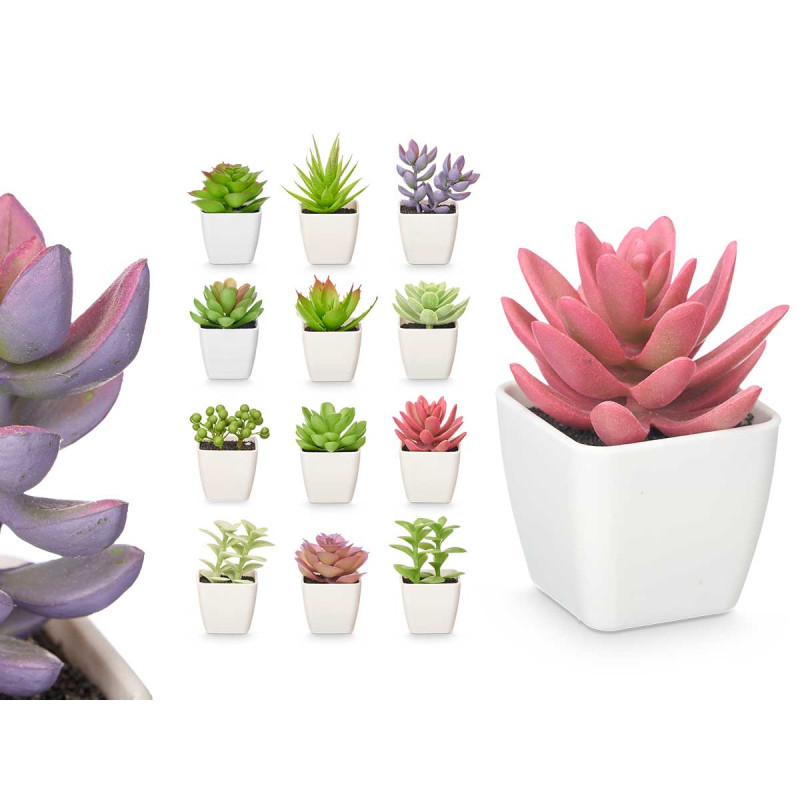 SQUARE POT ASSORTED SMALL