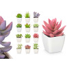 SQUARE POT ASSORTED SMALL