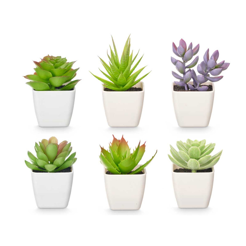 SQUARE POT ASSORTED SMALL