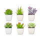 SQUARE POT ASSORTED SMALL