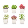 SQUARE POT ASSORTED SMALL