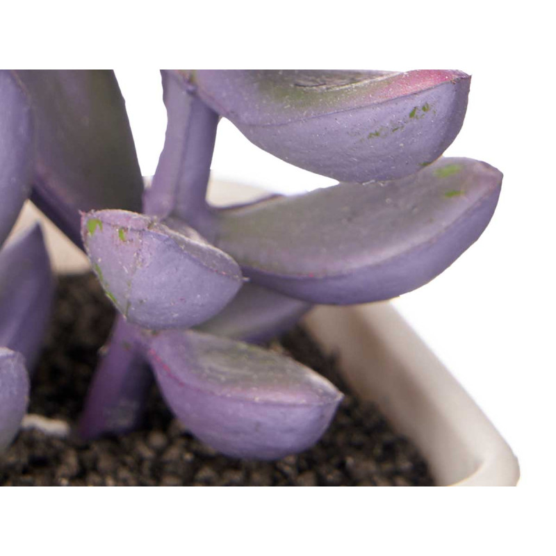 SQUARE POT ASSORTED SMALL