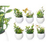 POT ROND BLANC ASSORT 6