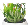 ROUND WHITE POT ASSORTED 6