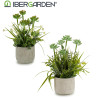 PLANTA ARTIFIC CAULES VASO CIMENTO S3