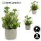 PLANTA ARTIFICIAL TALLOS MACETA CEMENTO S3