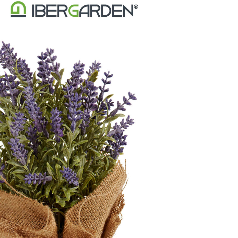 LAVANDA MACETA SACO PEQUEÑA 17X25CM