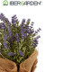 LAVANDA MACETA SACO PEQUEÑA 17X25CM