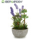PLANTA ARTIFI LAVANDA MACETA CEMENTO MED
