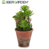MEDIUM OLD FLOWERPOT MIX 2 MOD