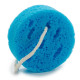 SPONGE CIRCULAR 4X11CM MIX 3 COLORS