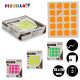 ADHESIVE LABELS 22X49MM APPLES M4 5 PAG