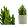 PLASTIC CACTUS ECHEVERIA 25CM