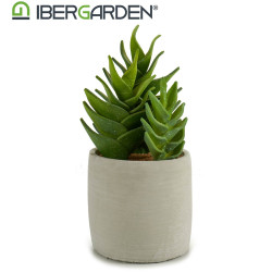 PLASTIC CACTUS ECHEVERIA 25CM