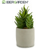 CACTO PLASTICO ECHEVERIA 25CM