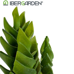 CACTO PLASTICO ECHEVERIA 25CM