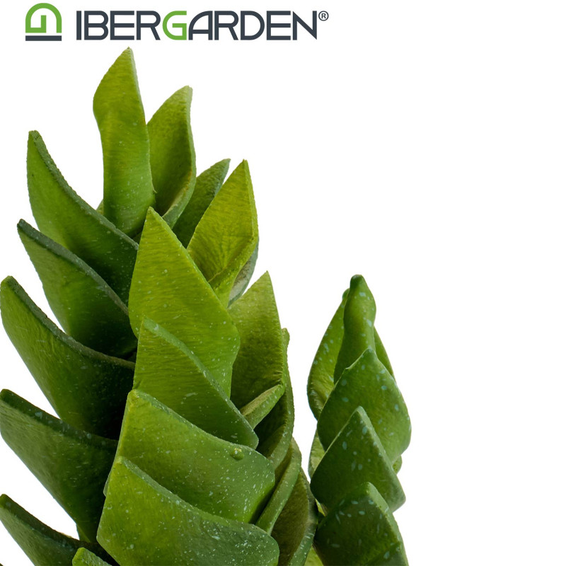 CACTO PLASTICO ECHEVERIA 25CM