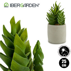 CACTUS PLASTICO ECHEVERIA 25CM