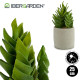 CACTUS PLASTIQUE ECHEVERIA 25CM