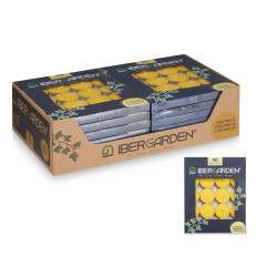SET 20 TEA LIGHT CANDLE CITRONELLA