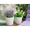 MACETA CERAMICA BLANCA SURT 4 DISEÑOS