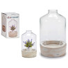 INVERNADERO VERRE BASE PIERRE GR