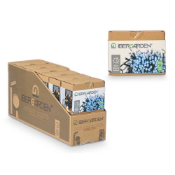 GHIRLANDA SOLARE 100LEDS BIANCHE