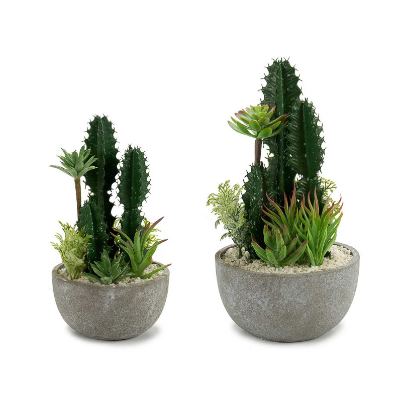 CACTUS POT ROUND CENTER SET 2