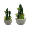 CACTUS POT ROUND CENTER SET 2