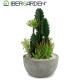 CACTUS POT ROUND CENTER SET 2