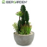 CACTUS POT ROUND CENTER SET 2