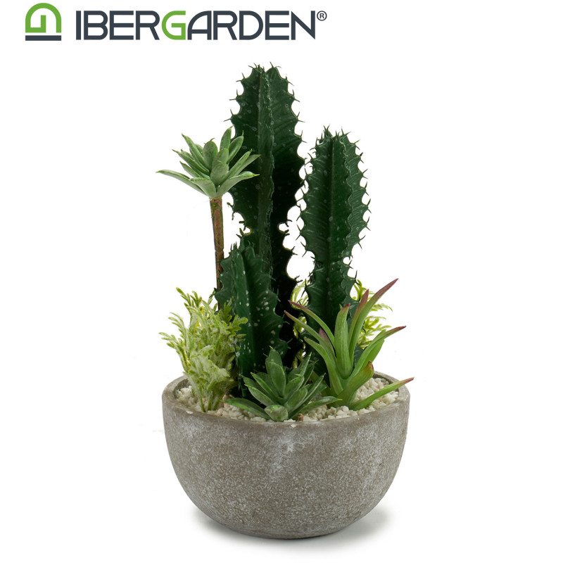 CACTUS POT ROUND CENTER SET 2