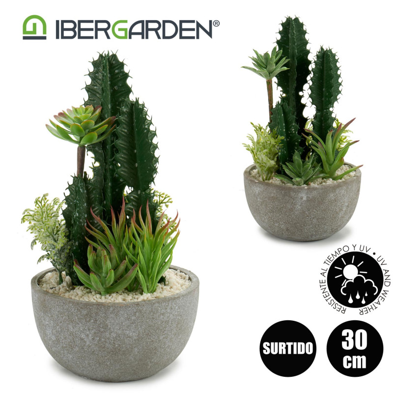 CACTUS POT ROUND CENTER SET 2