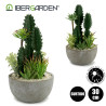 CACTUS POT ROUND CENTER SET 2