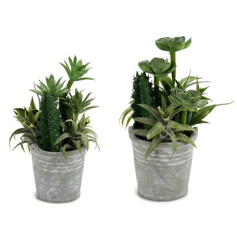 VASO CACTUS PIANTE ROTONDO ASSORT 2