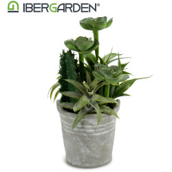 VASO CACTUS PIANTE ROTONDO ASSORT 2